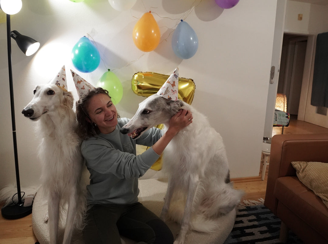 Borzoi: Elegance v pohybu i v duši