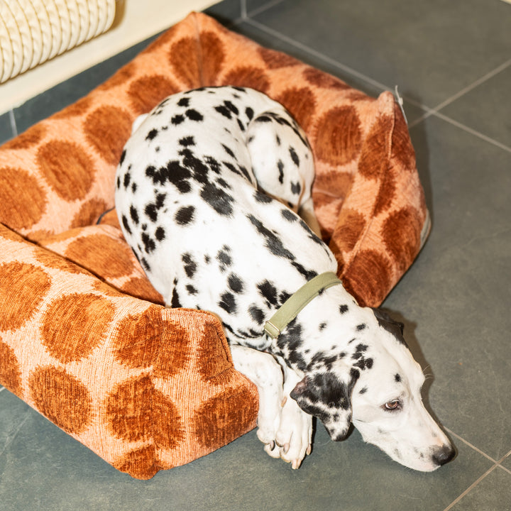 Dogguo Pelíšek Sofa Bed