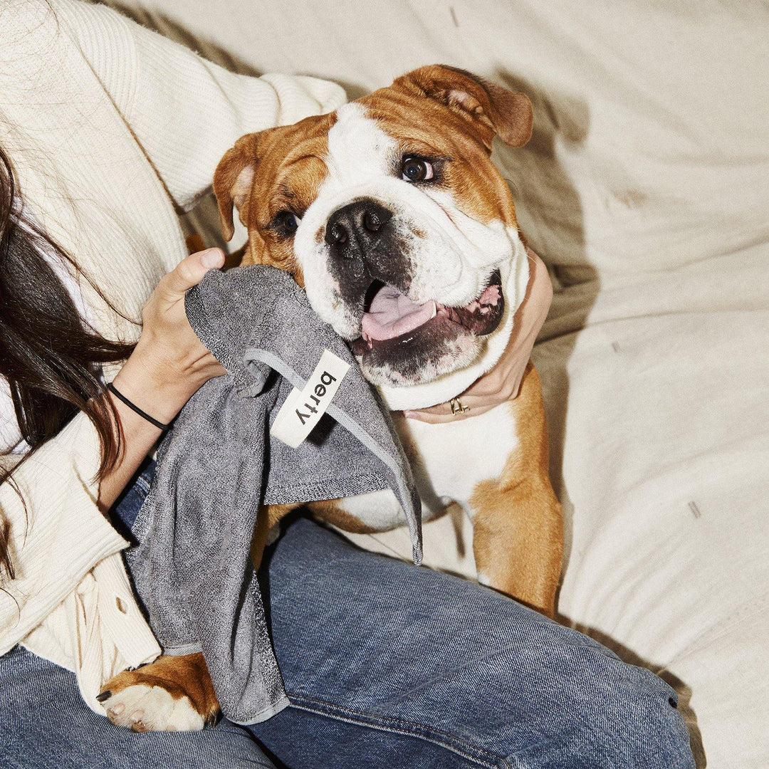 Berty Antibacterial Paw and Face Towel Dark Stone 