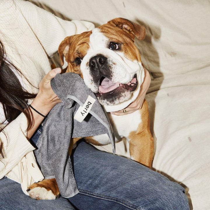 Berty Antibacterial Paw and Face Towel Dark Stone 
