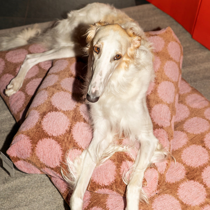 Dogguo Matrace Flat Bed