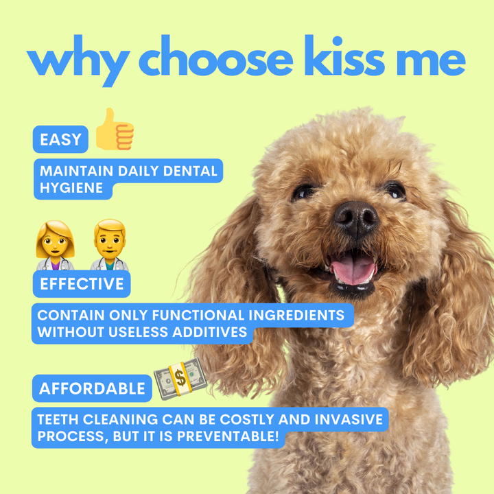 Jampy Dentální sprej Kiss Me