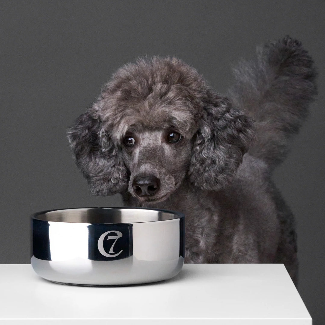 Cloud7 Miska Dylan Stainless Steel