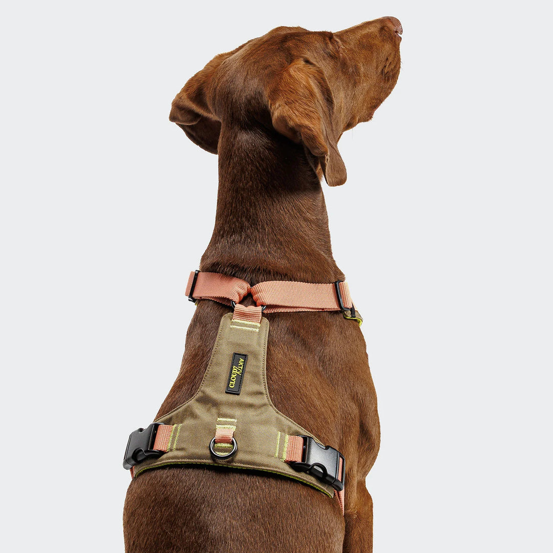 Cloud7 Postroj Y-2 AKTIV Cordura Peach
