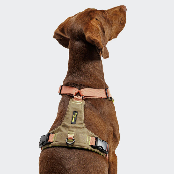 Cloud7 Postroj Y-2 AKTIV Cordura Peach