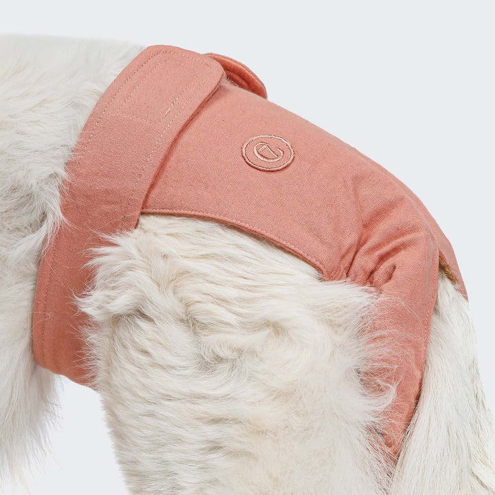 Cloud7 Panties Rose
