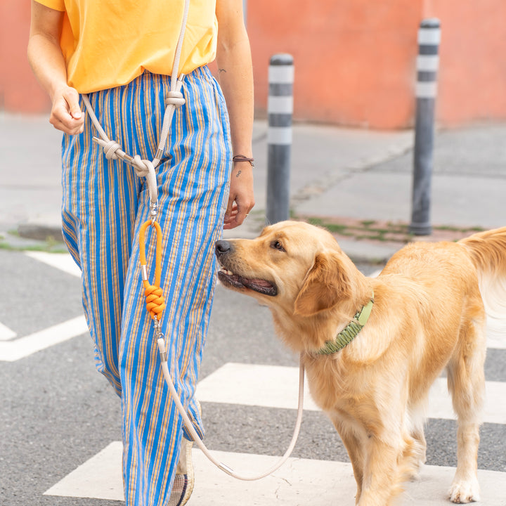 Valka Kukur Vodítko Bold Duo Cord