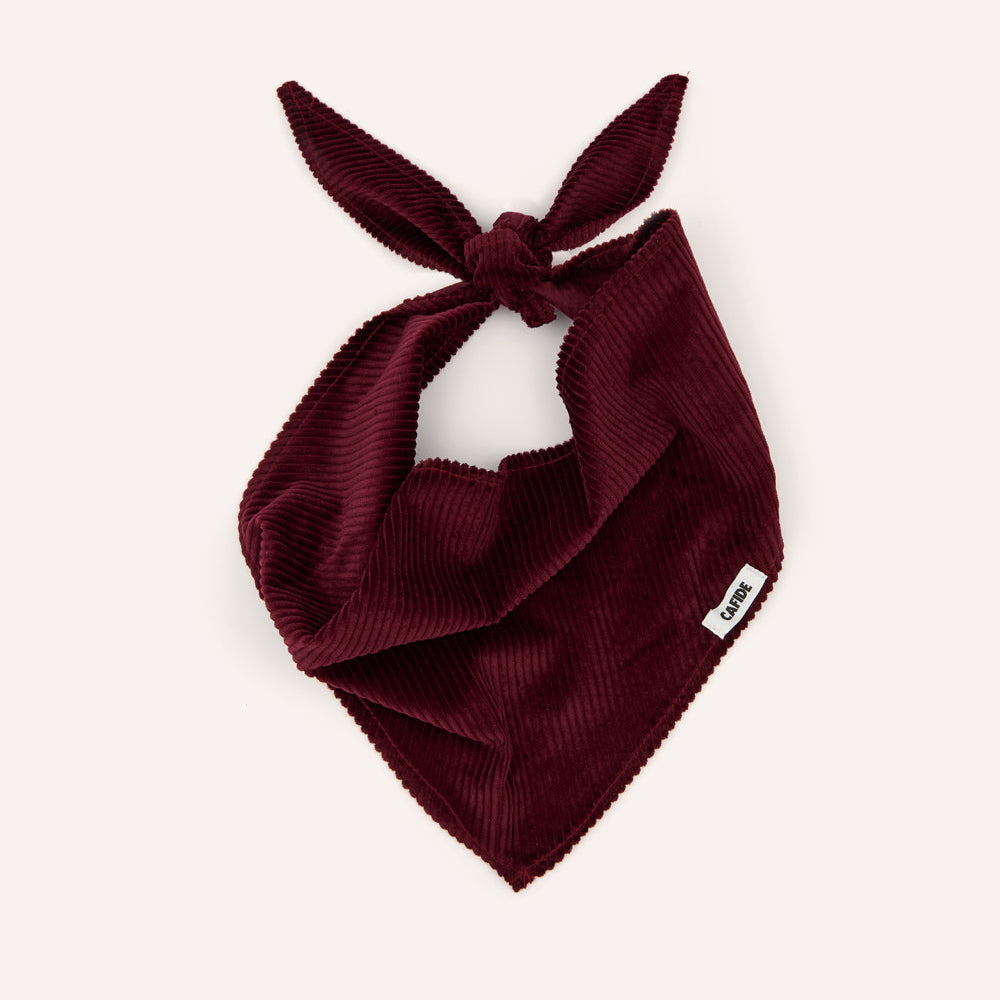Cafide Psí bandana Nata