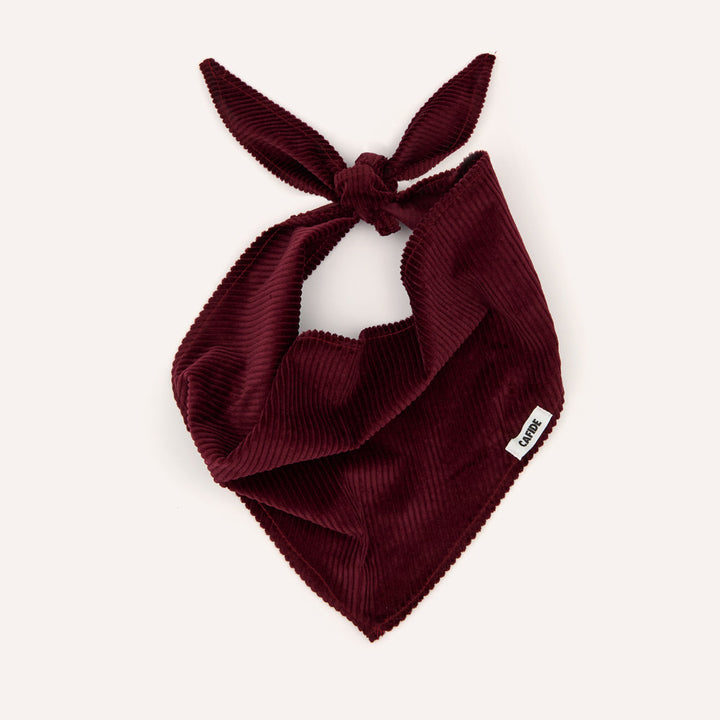 Cafide Psí bandana Nata