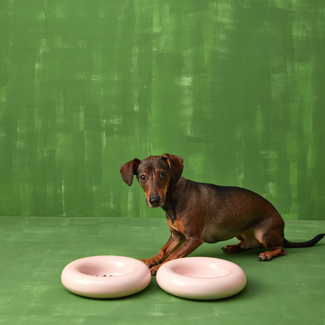 Hot Dog Pets Miska Ceramic