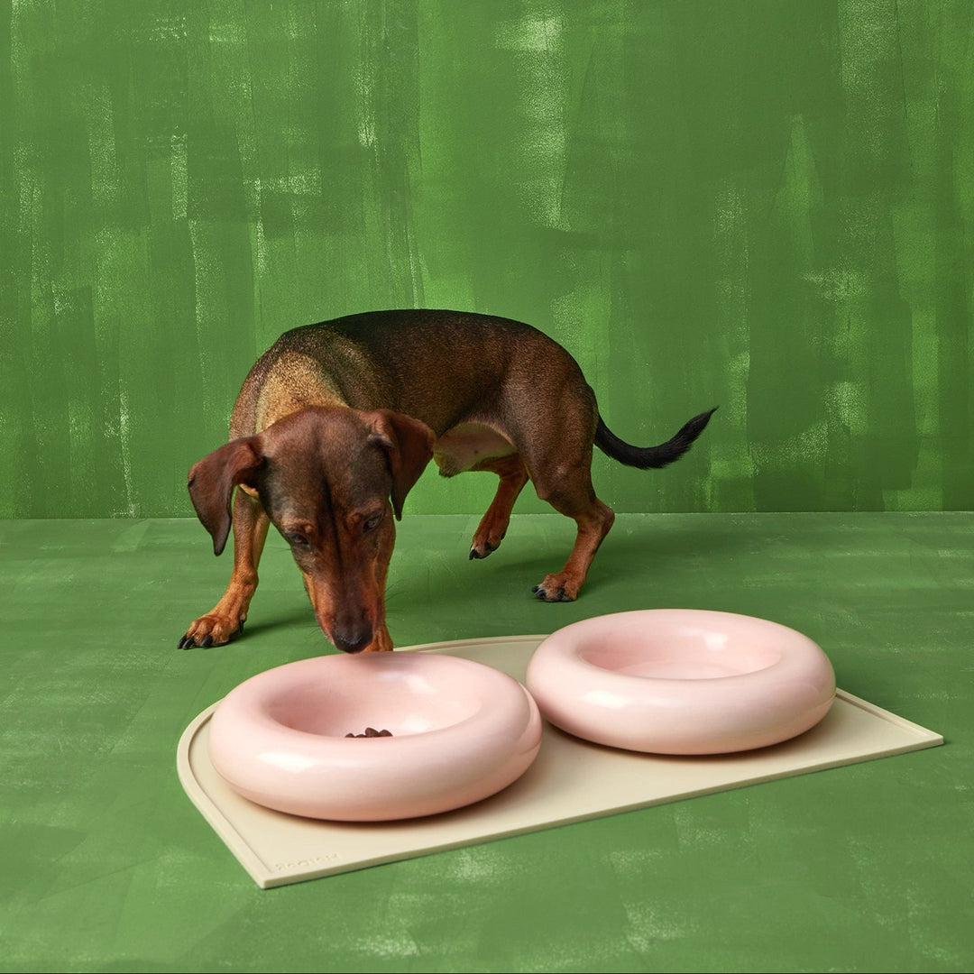 Hot Dog Pets Miska Ceramic