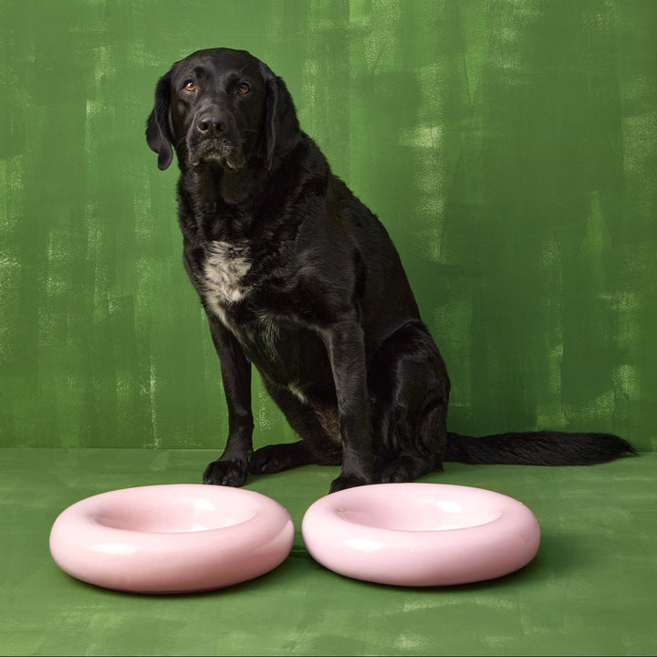Hot Dog Pets Miska Ceramic
