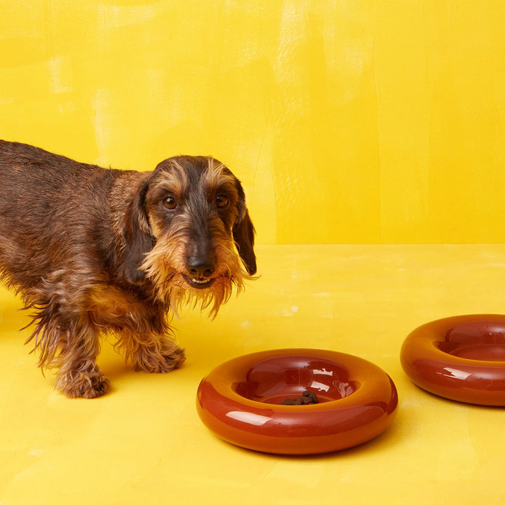 Hot Dog Pets Miska Ceramic