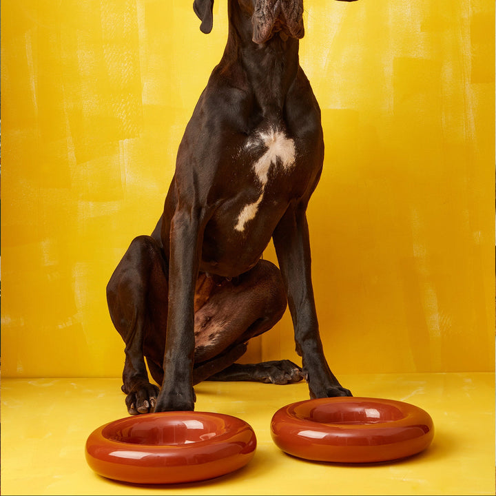 Hot Dog Pets Miska Ceramic