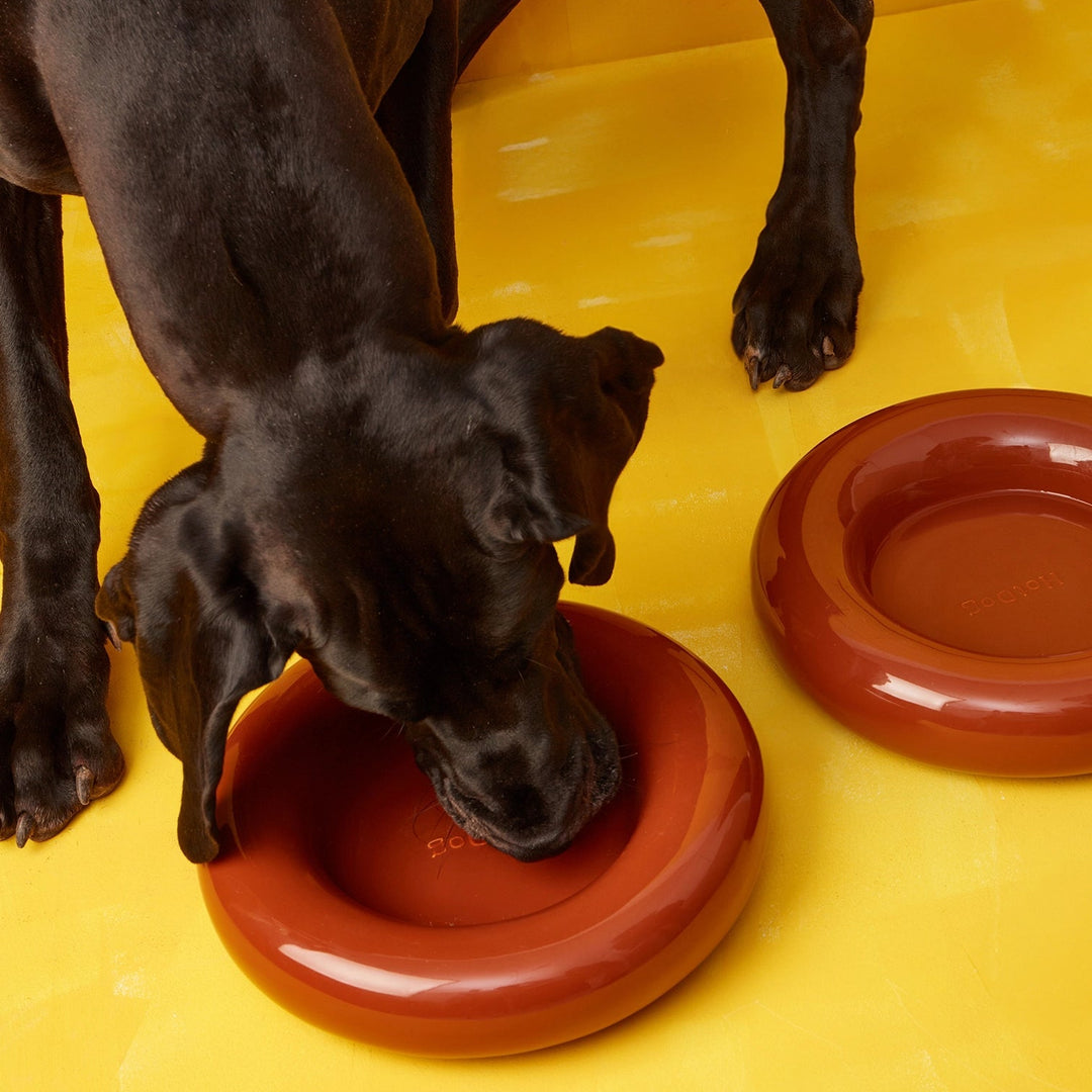 Hot Dog Pets Miska Ceramic