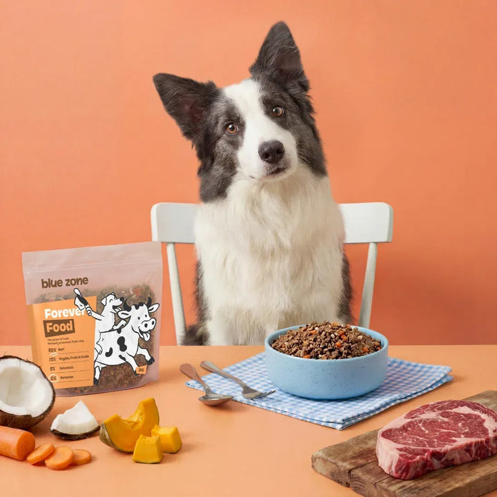 Blue Zone Pets Krmivo Forever Food