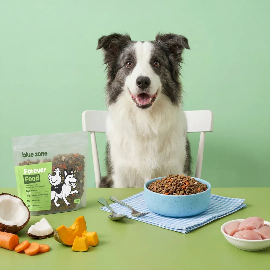 Blue Zone Pets Krmivo Forever Food
