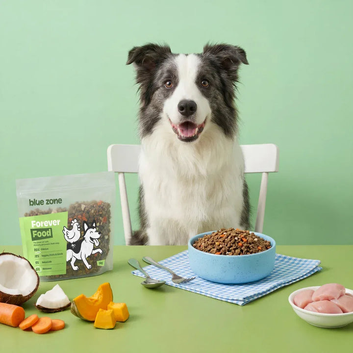 Blue Zone Pets Krmivo Forever Food