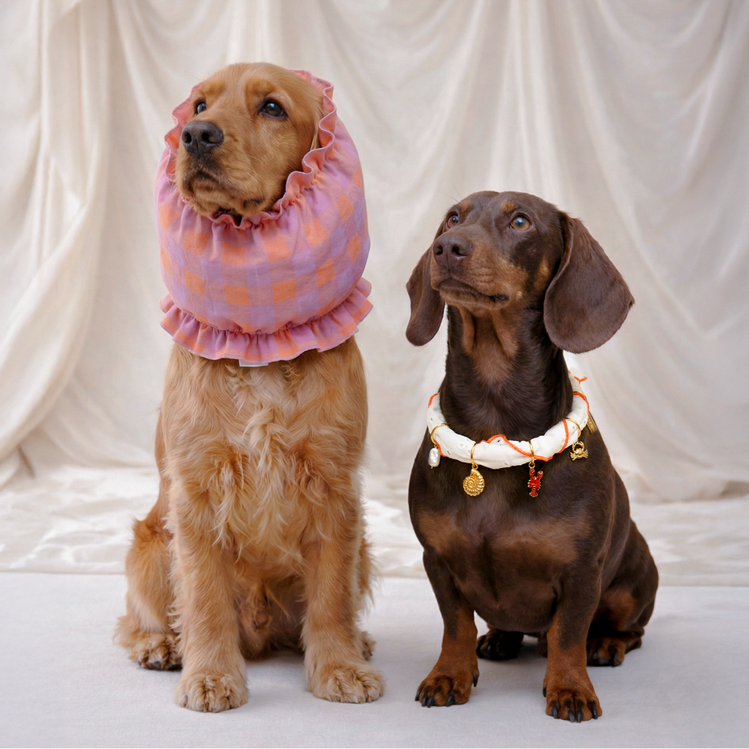 Cafide Snood Olga