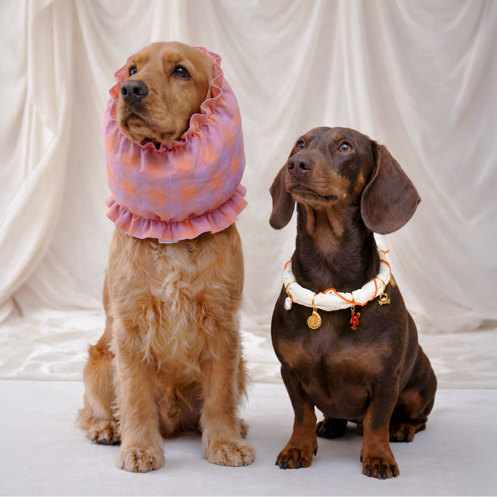 Cafide Snood Olga