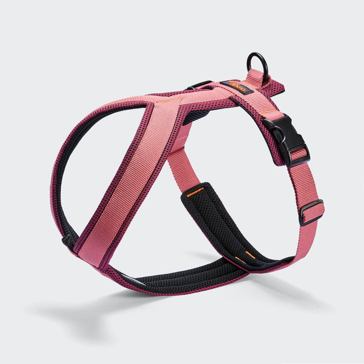 Cloud7 Postroj Y-1 AKTIV Air-Mesh