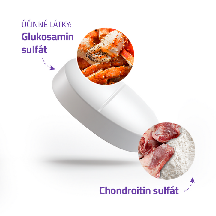 Altervet Kloubní výživa Cartilan Nutri