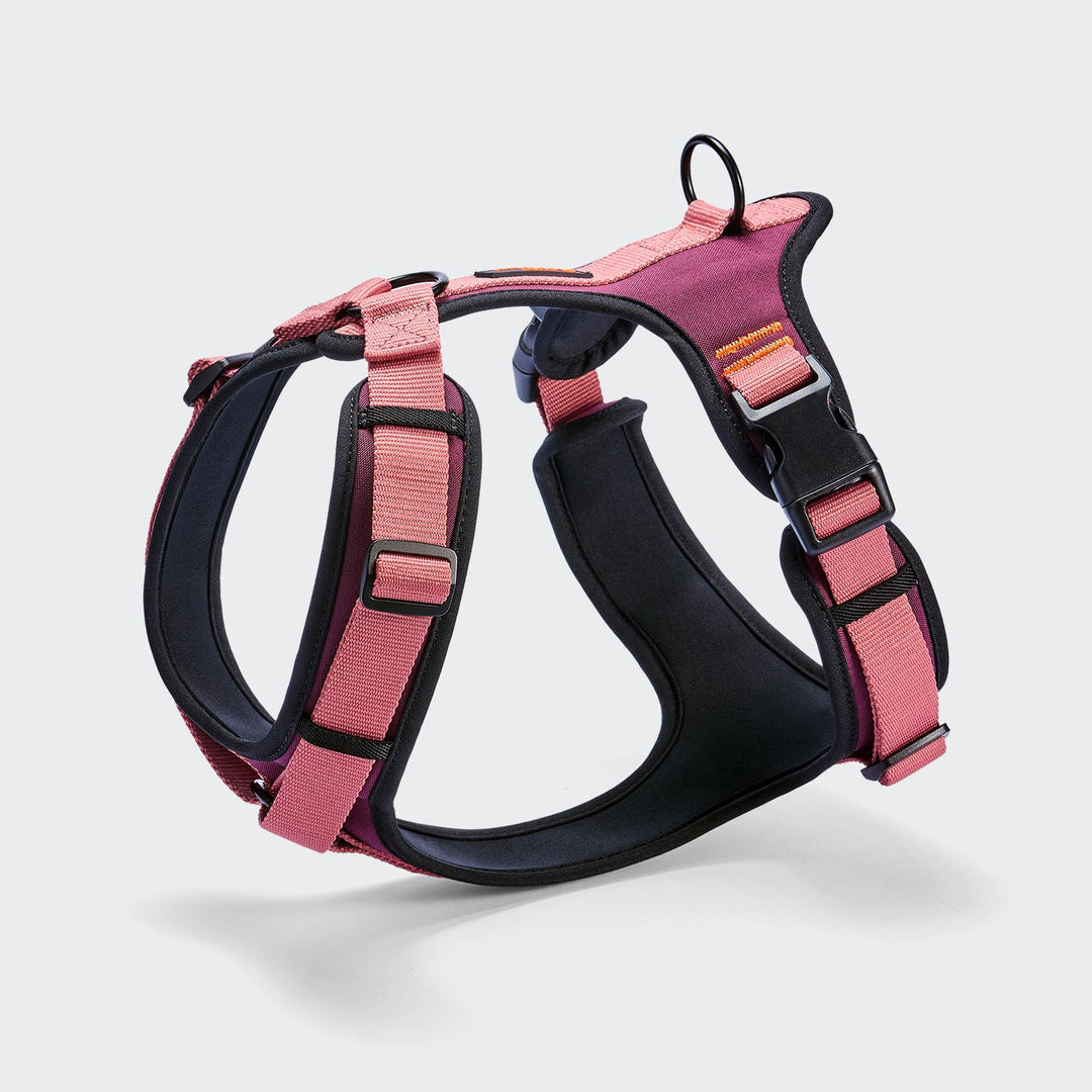 Cloud7 Postroj Y-3 Aktiv