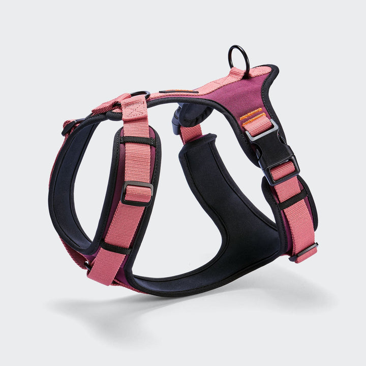 Cloud7 Postroj Y-3 Aktiv