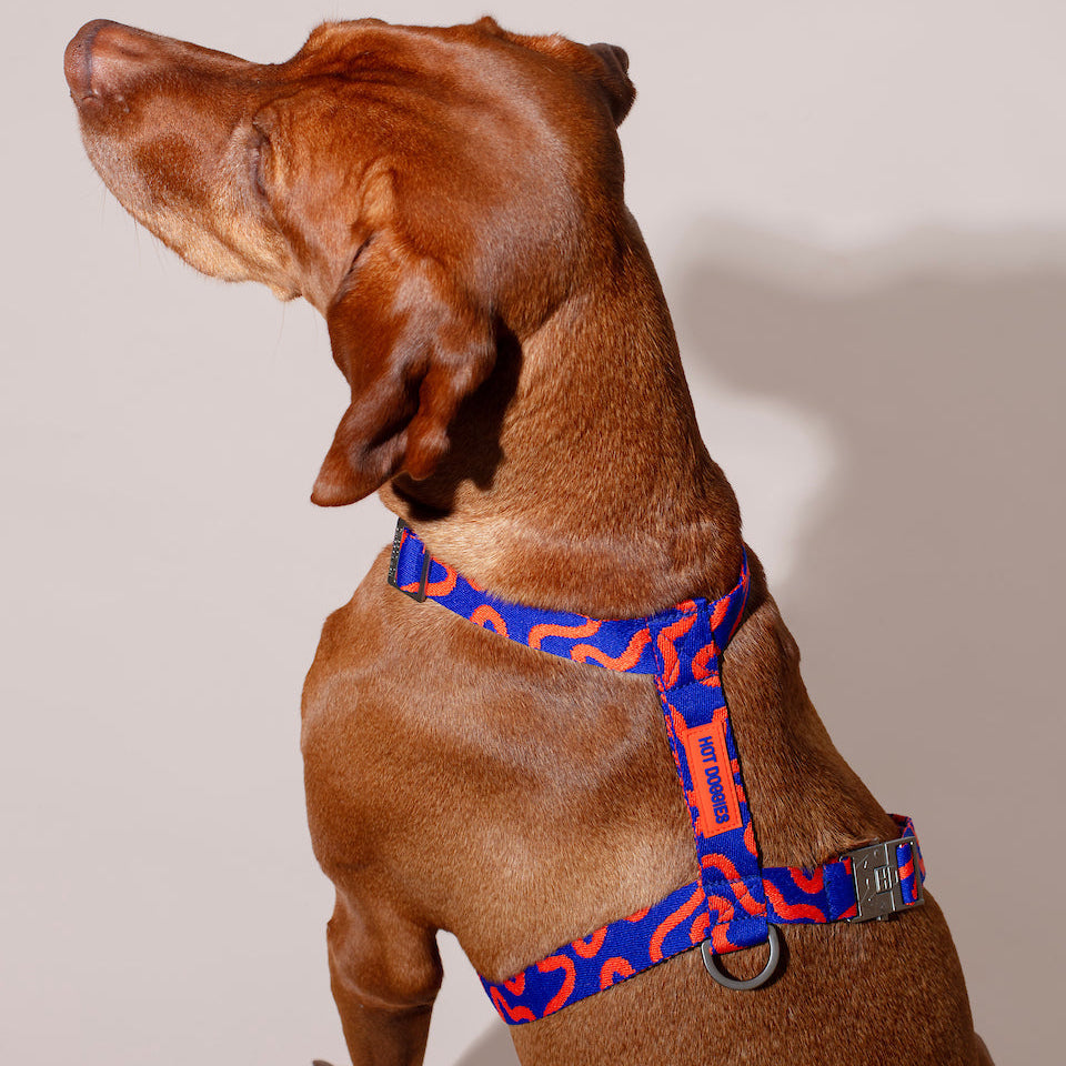 Hot Doggies Postroj