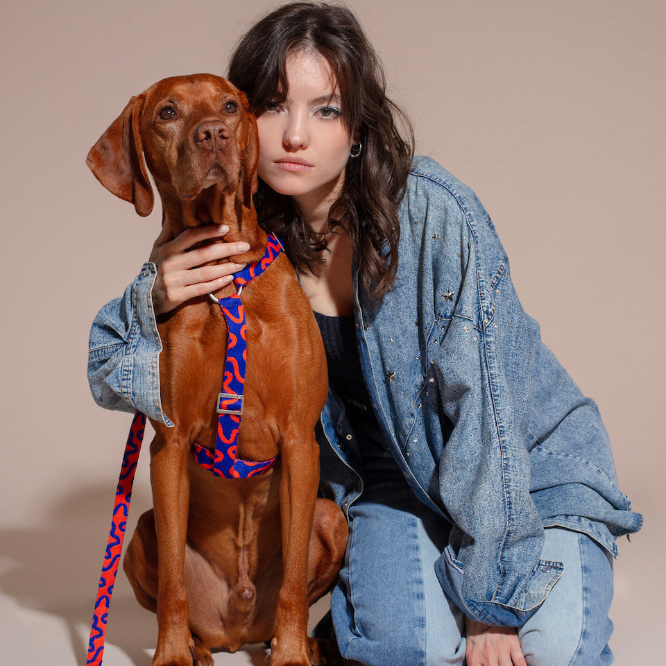 Hot Doggies Postroj