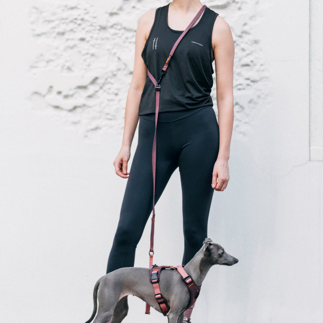 Cloud7 Vodítko L-1 Hands-Free Aktiv