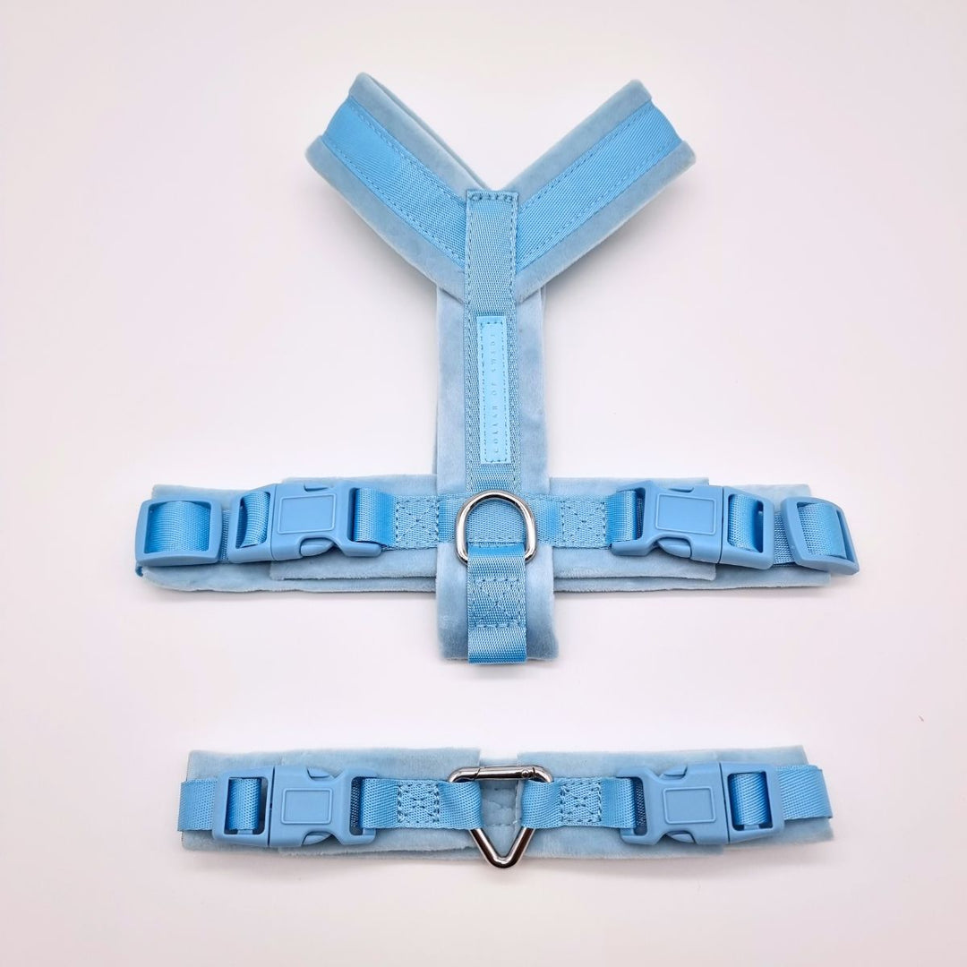 Collar of Sweden Postroj Y