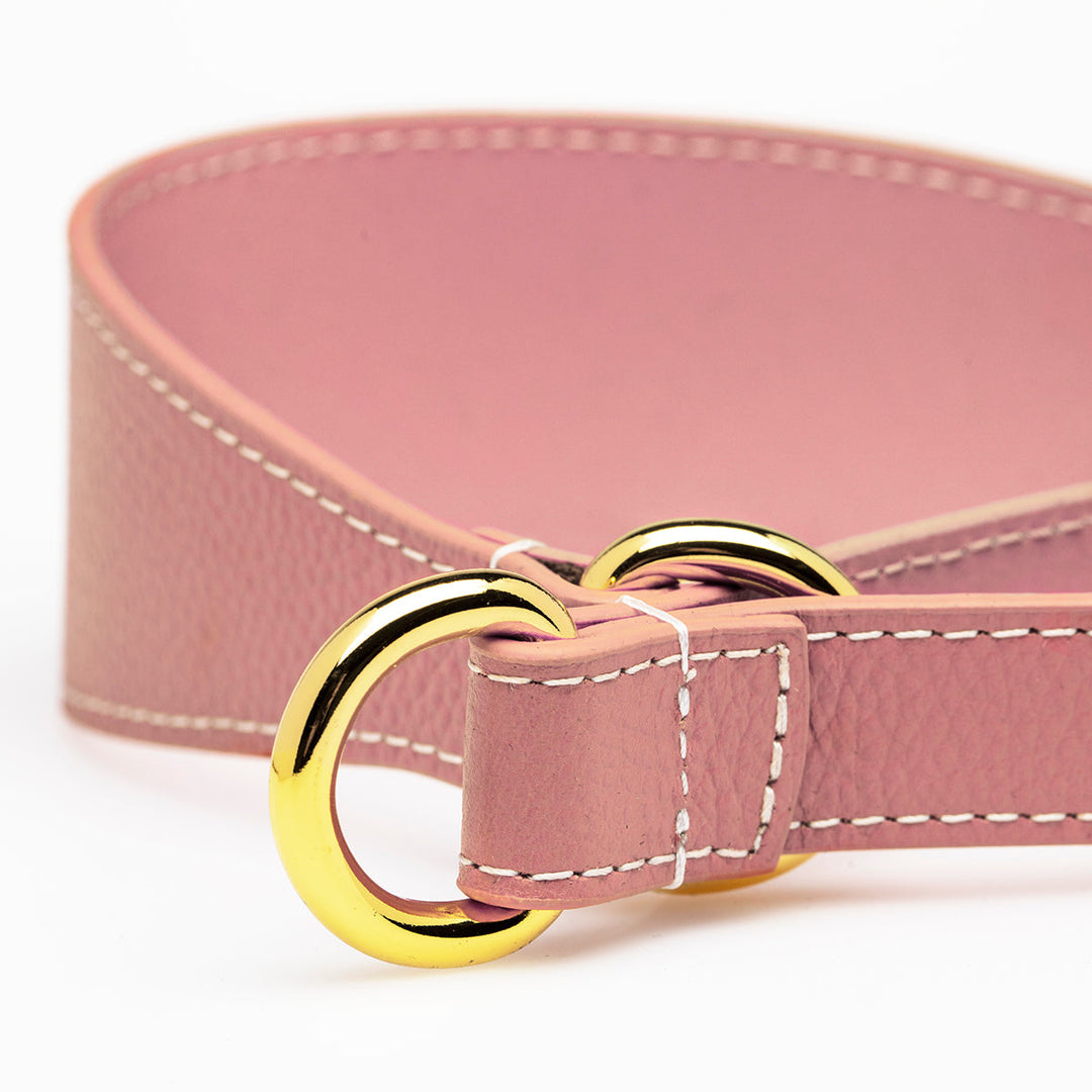 Collar of Sweden Kožený obojek Martingale Wide