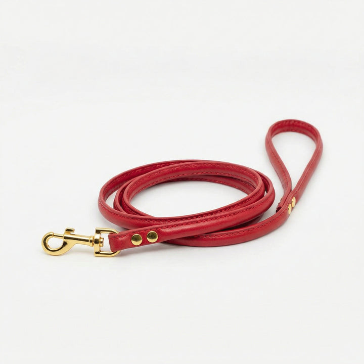 Collar of Sweden Kožené vodítko Leather