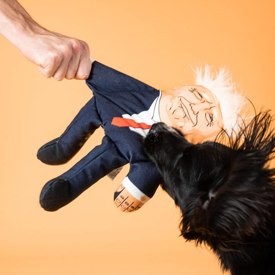 Pet Hates Toys Hračka Donald Trump