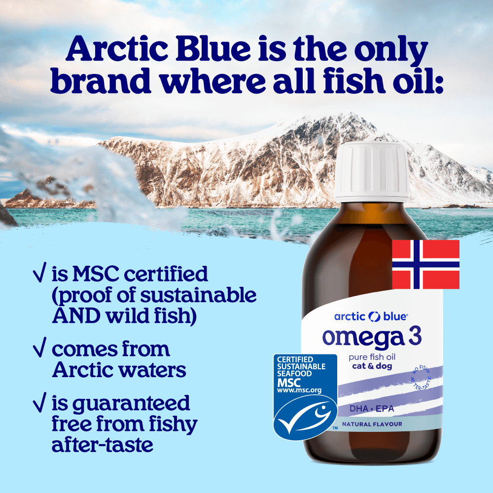 Arctic Blue Rybí Olej