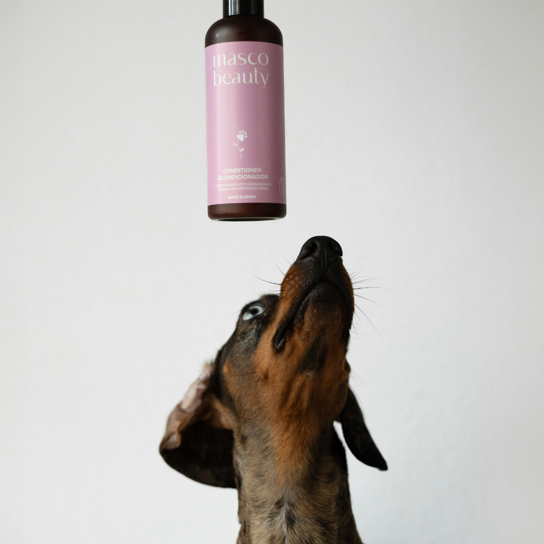Masco Beauty Kondicioner Softening & Unbeliever