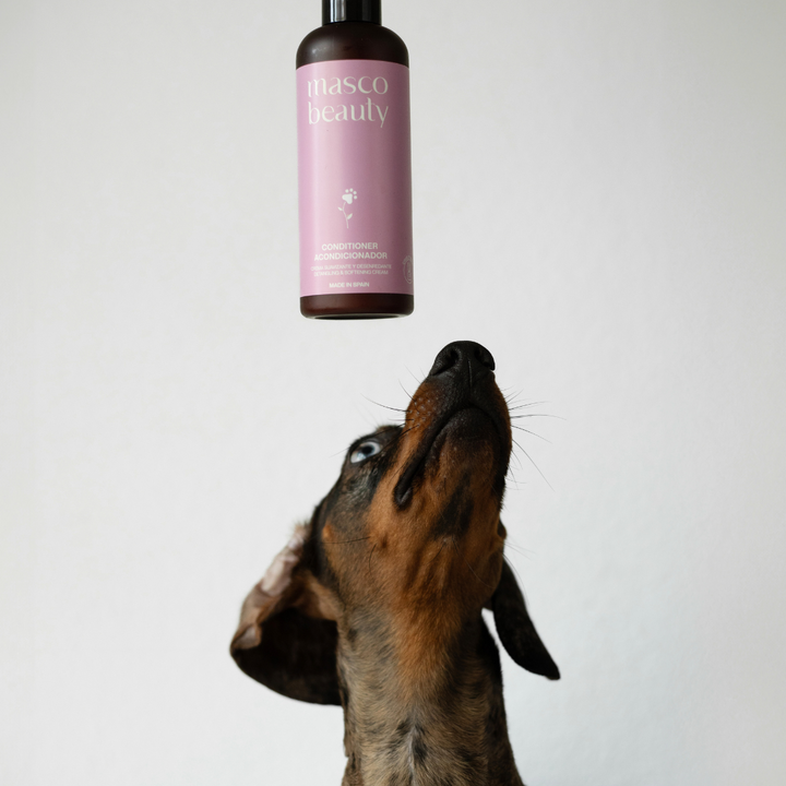 Masco Beauty Kondicioner Softening & Unbeliever