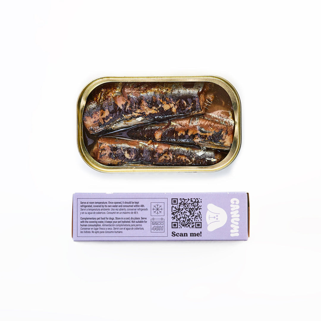 Canumi Konzerva Sardinky