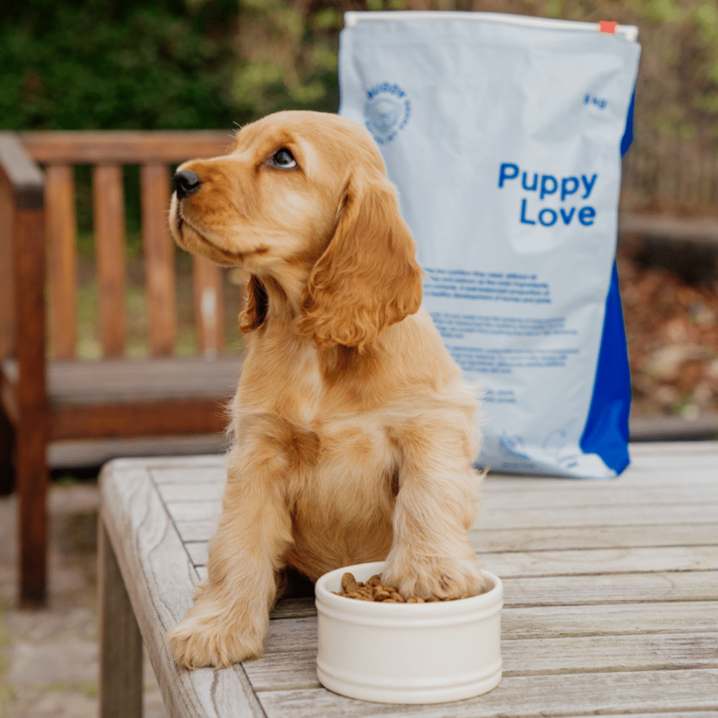 Buddy Granule Puppy Love