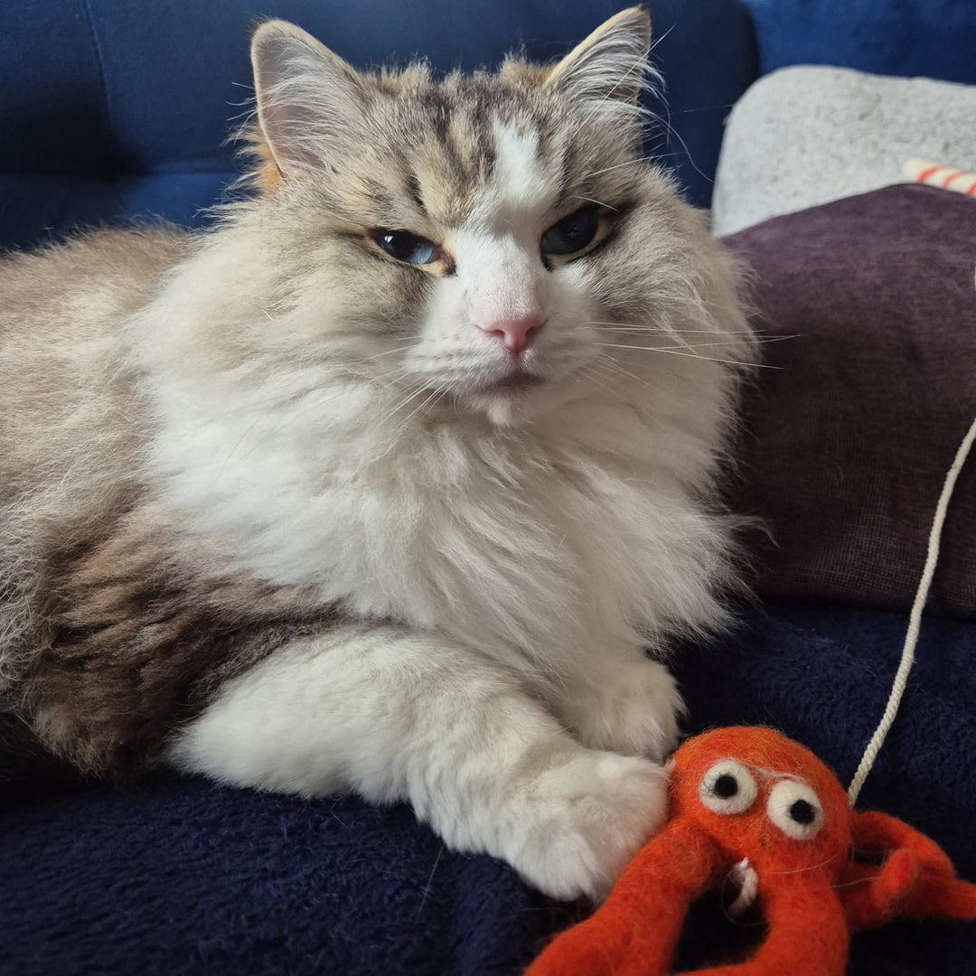 Hiro+Wolf Hračka Clawdia Crab