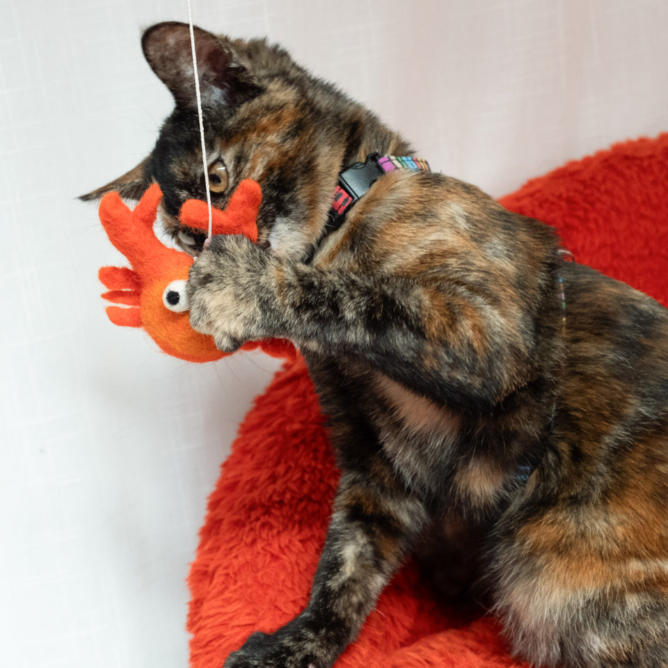 Hiro+Wolf Hračka Clawdia Crab