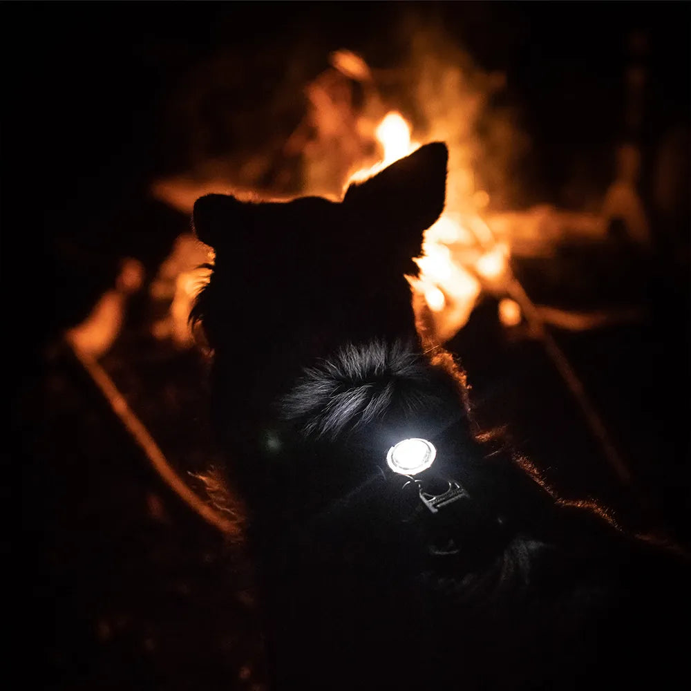 Orbiloc LED Světlo na obojek a postroj