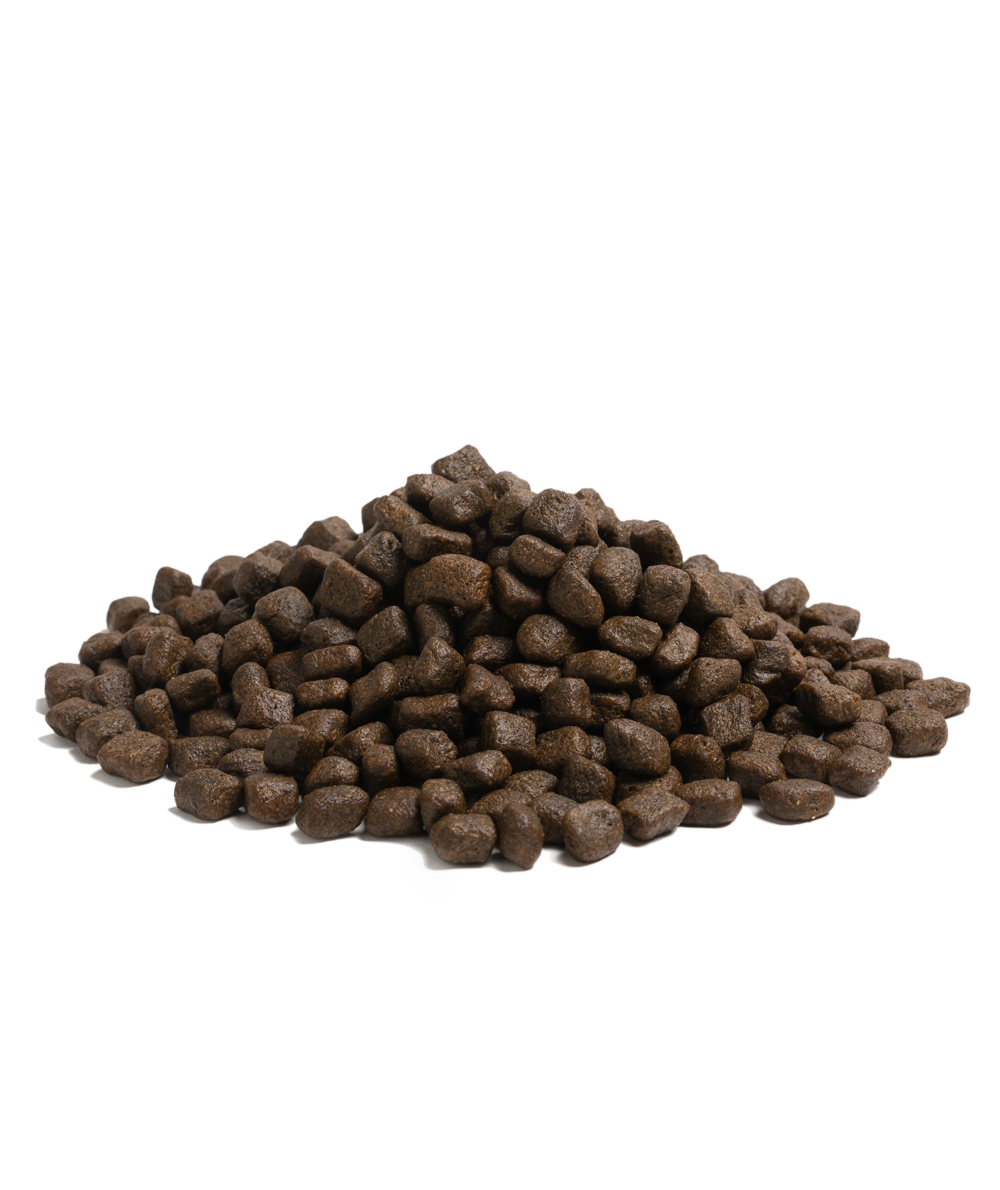 Essential Foods Granule Beginning