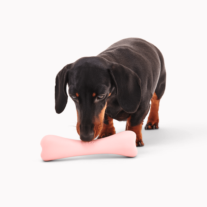 Beco Hračka Treat Bone