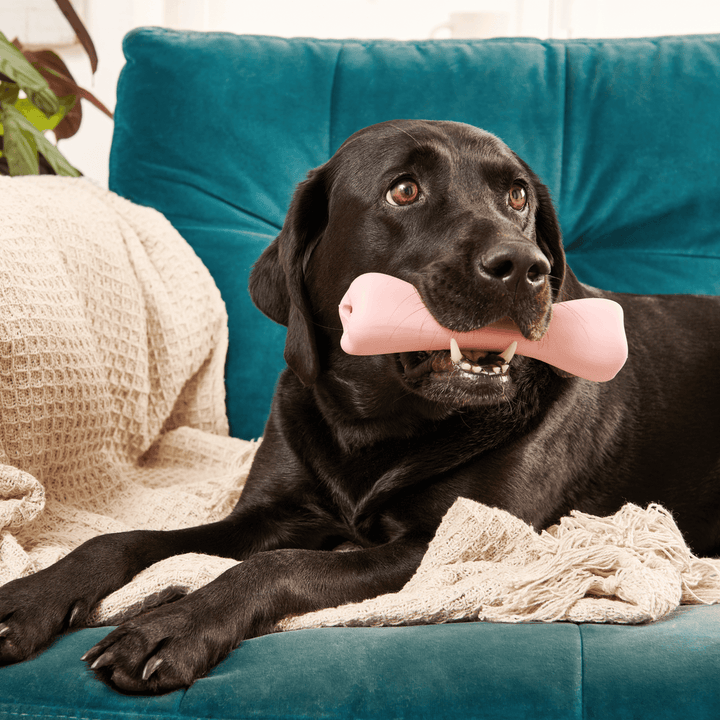 Beco Hračka Treat Bone