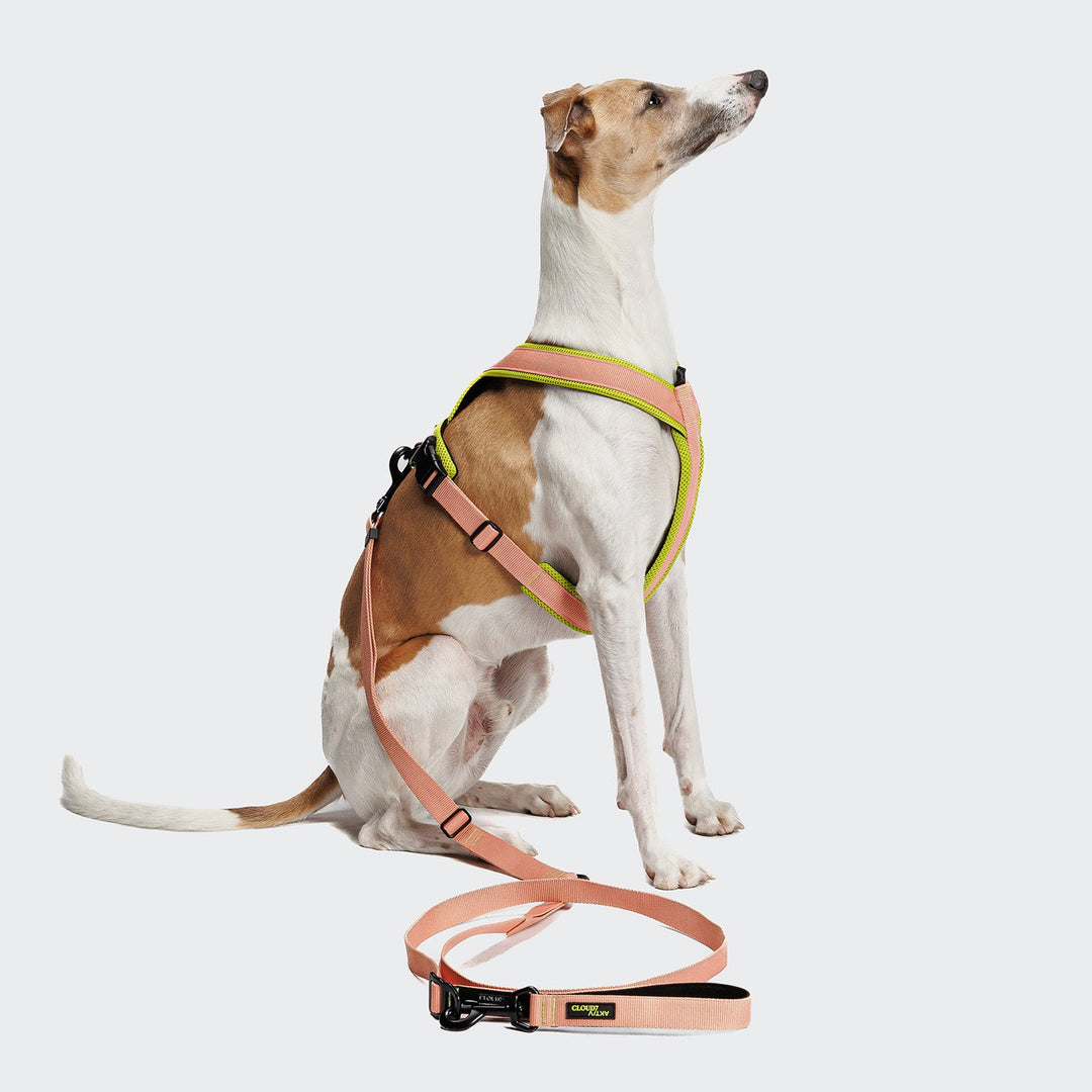 Cloud7 Vodítko L-1 Hands-Free Aktiv