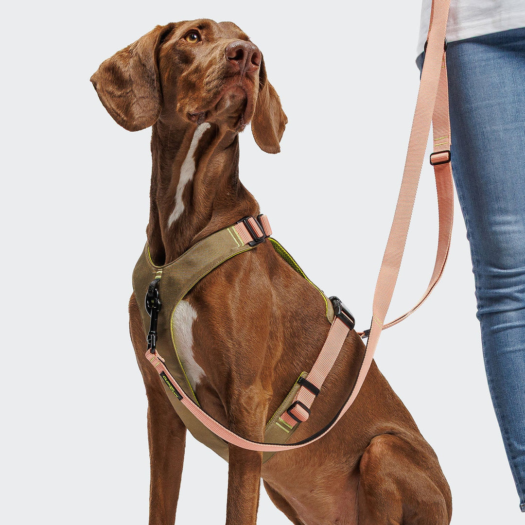 Cloud7 Vodítko L-1 Hands-Free Aktiv