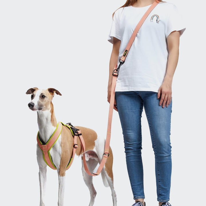 Cloud7 Vodítko L-1 Hands-Free Aktiv