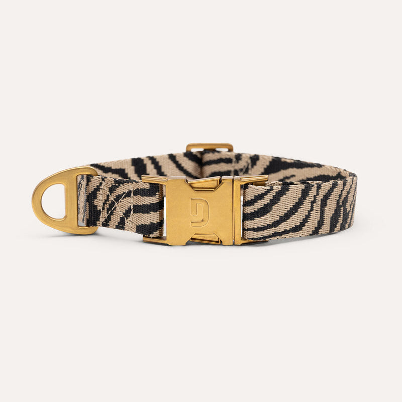 Dogguo Obojek Zebra